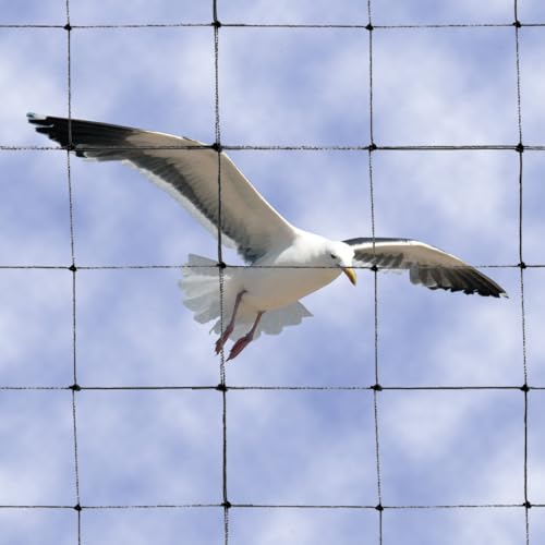 Bird B Gone Bird Net 2000 (Black) - (100' x 100') – 2" Mesh Heavy-Duty Bird Netting – Knotted Polyethylene Exclusion Net for Pigeons, Seagulls and Larger Birds - color: Black, size: 100x100