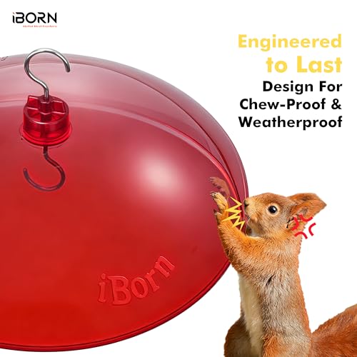 iBorn 13-inch Hummingbird Feeders Baffle, Weather Guard, for Hanging Bird Feeder for Outdoors Rain Guard, Chew-Proof Polycarbonate, Pack of 2, Red - size: 13" Baffle,2 Pack