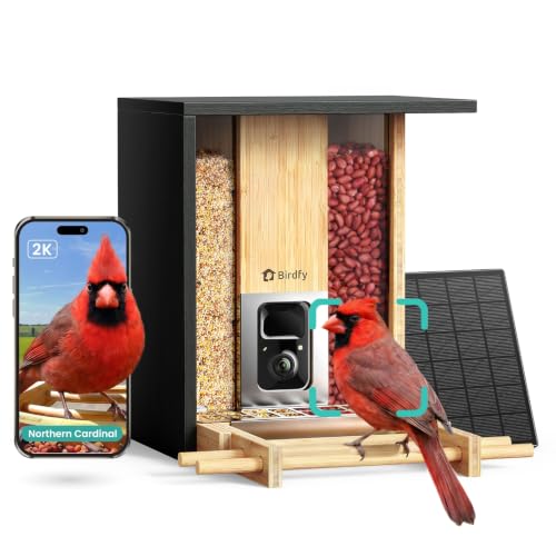Smart Bird Feeder with Camera, Solar Powered, 2K Live Stream, Bamboo Bird Feeder with Metal Guard, AI Bird Identification, Auto-Recorded Videos, Gift for Bird Lovers - style: BamG AI lifetime