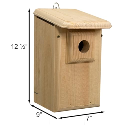Western Bluebird House with Observation Window
