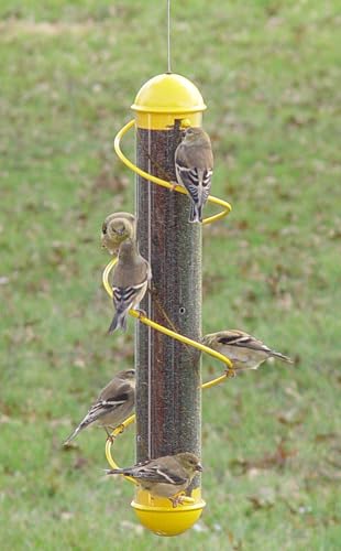 Bird Quest SBF2Y 17" Spiral Thistle Bird Feeder - Yellow