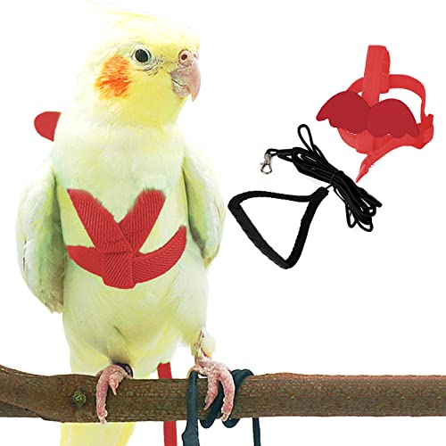 Dnoifne Pet Parrot Bird Harness and Leash, Adjustable Training Design Anti-Bite, Bird Nylon Rope with Cute Wing for Parrots, Suitable for Scarlet, Keck, Mini Macaw and Same Size Birds (red) - color: red