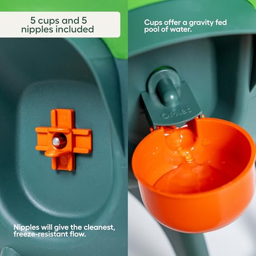 Omlet Insulated Chicken Waterer, 3 Gallon | Automatic Poultry Water Dispenser with 5 Cups & Nipples Included | BPA-Free | Anti-Roost Lid | Sage Green - color: Sage Green, size: 3 Gallon