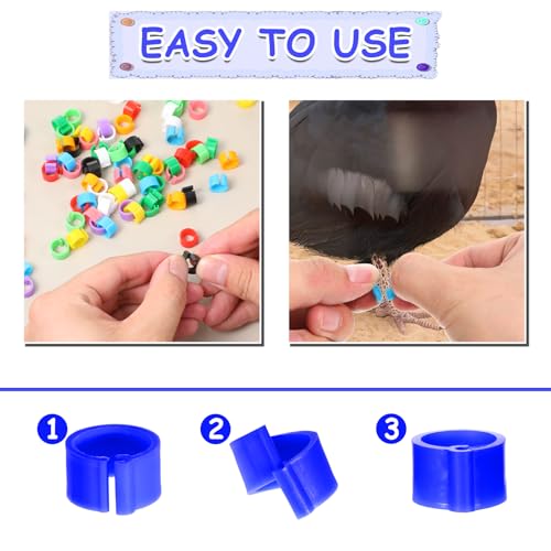 200 Pcs 8mm Chick Leg Bands, Colorful Numbered Bird Quail Leg Rings Identification Legs Bands Baby Chicken Supplies Poultry Tags for Chick Bantam Finch Dove Small Birds (Ten Colors)