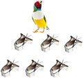 6 Pcs Bird Food Holder Parrot Cage Seed Feeder Stainless Steel Vegetable Fruit Clip for Bird Cockatiel Parrot Hamster