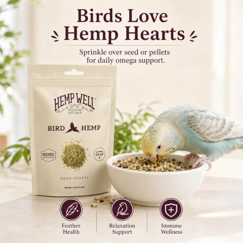 Hemp Well Organic Hemp Hearts –Reduces Feather Plucking, Promotes Relaxation, Immune Support, Organically Sourced, USA Grown, GMO Free – 1 Pound Bag - size: 1 Pound (Pack of 1)