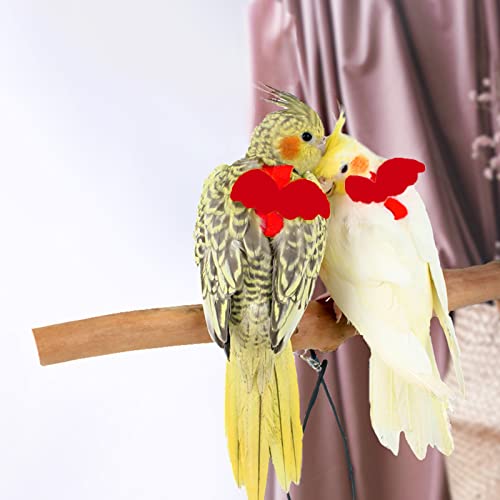 Dnoifne Pet Parrot Bird Harness and Leash, Adjustable Training Design Anti-Bite, Bird Nylon Rope with Cute Wing for Parrots, Suitable for Scarlet, Keck, Mini Macaw and Same Size Birds (red) - color: red