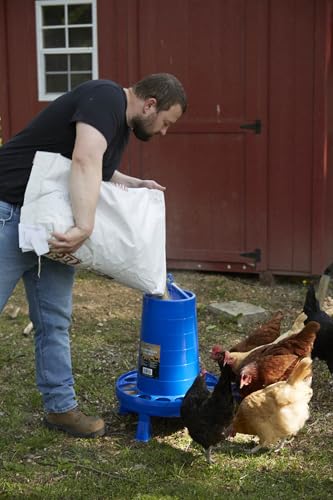 Double-Tuf® Poultry Feeder with Legs | Durable Feeding Container | Carrying Handle for Chickens & Birds | Chicken Feeder | 35 Lbs - size: 35 lbs