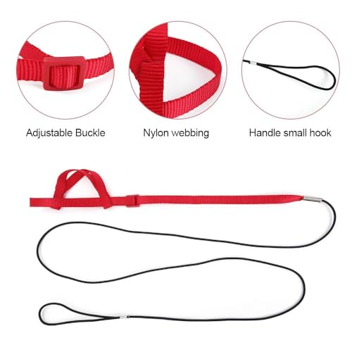 Parrot Harness Leash, Anti Bite Bird Training Leash Adjustable Parrot Flying Rope for Parrot Budgerigar Lovebird Cockatiel