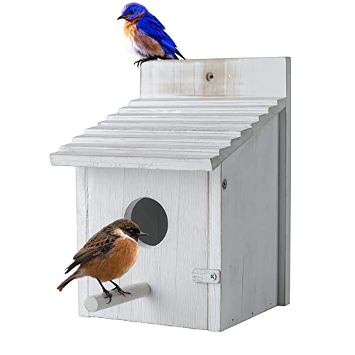 Bird House for Outside,Bluebird House,Outdoor Wooden Hanging Birdhouses Finch Wren Cardinals Garden Nesting Box - color: White