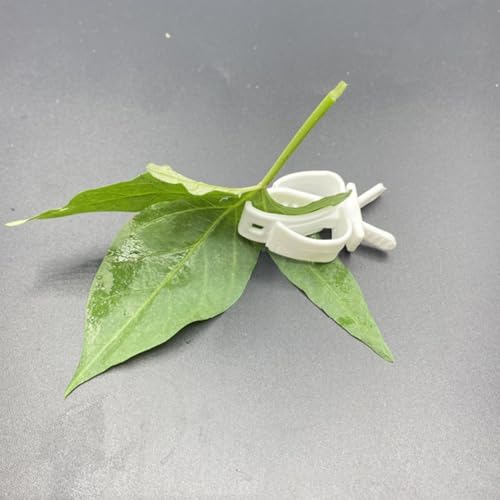 ULTECHNOVO 4pcs Parrot Vegetable Clips Plastic Fixed Clamps for Bird Cage Feeding Device Holders Suitable for Small Birds to Hold Cuttlefish Bone and Snacks