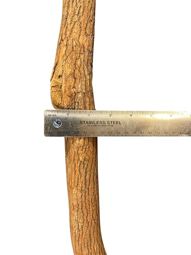 Polly's Full Length Hardwood Cage Perch for Parakeets, Cockatiels, Cockatoos, Macaws, and Other Birds (36") - size: 36"