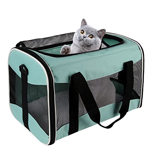 Cat Dog Carriers Soft-Sided Pet Carrier Large Cats for Medium Big Cat Small Dog Puppy up to 16lbs TSA Airline Approved Animal Collapsible Cat Carrier Carriers Travel Carrier Cat Bag (17x11x11) - color: green, size: 17.0"L x 11.0"W x 11.0"H