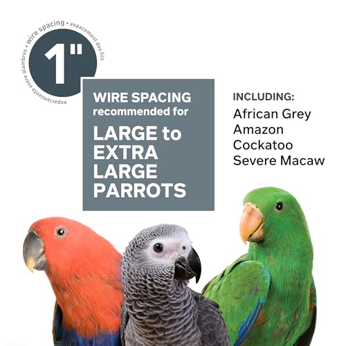 Prevue Pet Products Imperial XXL Stainless Steel Bird Cage - size: XXL