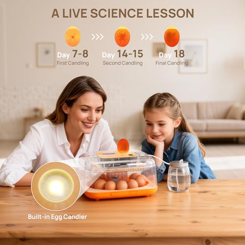 TURBRO Incubator for Hatching Eggs, Automatic Turning, Temperature & Humidity Control, Built-in Candler, 60° Viewing, 12 Egg Incubators for Chicken, Duck, Quail, Turkey, Goose, Parrot, Bird | 12 Egg Incubators , Built-in Candler, Automatic Turning, 360° V