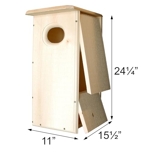 Black-Bellied Whistling Duck House