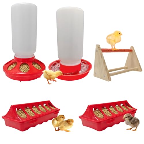 Chick Feeder & Waterer Starter Kit with 2 Trough Feeders and Roost Bar – No-Leak Baby Chick Waterer and Feeders Set for Chicks, Ducklings, Quail & Small Poultry – Essential Brooder Supplies