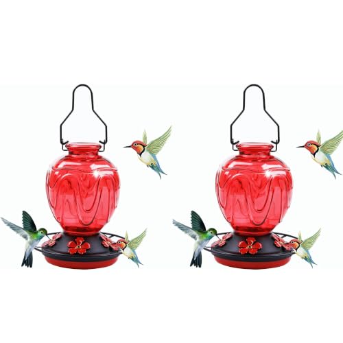 2 Pack Glass Hummingbird Feeder for Outdoors Hanging, 24Ozs Humming Bird Nectar Feeder w/Perch, 5 Flower Feeding Ports, Leak Proof Base and Hook for Outside Garden Backyard Decor, Red - color: Red-2