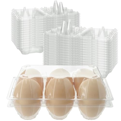 100 PCS 6 Grids Plastic Egg Cartons, Clear, 14.8 x 10.2 x 6.2 cm, Egg Storage, Transportation