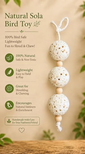 Shred and Destroy Bird Toy for Small Birds - Budgies, Lovebirds - Natural Sola Ball Hanging Chew Toy - 2 Pack - Boredom Buster Cage Toy
