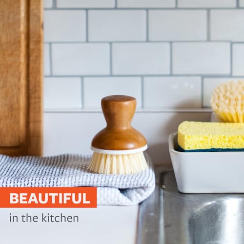 Full Circle Bubbly Palm Brush – Family Safe, Formaldehyde-Free – Ergonomic Palm Scrubber with Handle for Kitchen Cleaning, Dish Scrub Brush for Nonstick, Cast Iron & Sink, White | Family-safe & formaldehyde-free, with an ergonomic handle for effortless ca