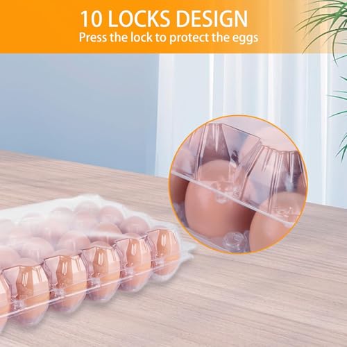 36 PCS Plastic Egg Cartons Cheap Bulk 24 Count Clear Blank Egg Cartons with Free Labels Holds up to 24 Eggs Securely Reusable Egg Carton for Family Pasture Chicken Farm Market Display, 4x6 Grids - size: 4x6