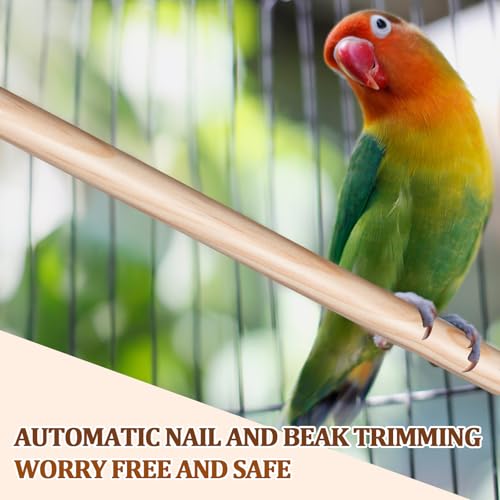 Sintuff 8 Pcs Bird Perches for Cage Accessories, Wooden Perch Rods Replacement with Double Head Slots, 0.6 Inch Diameter Natural Wood Stand for Parrot Macaw Cockatoo Parakeet (24 Inches) - size: 24 Inches