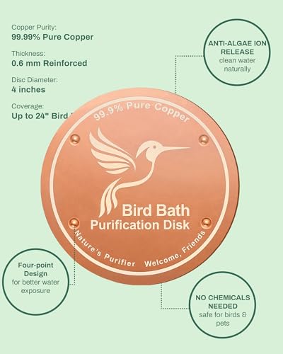 Bird Bath Purification Disc Pure Copper Outside Winter Solar Power Birdbath Humming Bee Water Fountain Window Feeder Stand Nectar Food Pole House Hanging Birdhouse Flowers Butterfly Accessories - color: Copper 1PCS Bird&1PCS Butterfly