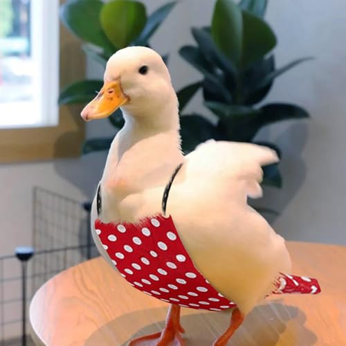 QBLEEV Pet Cole Duck Diapers for Baby Ducks, Chicken Diapers for Real Hens, Fashionable Duckling Nappy Poultry Cloth for Indoor Chick Goose Hen