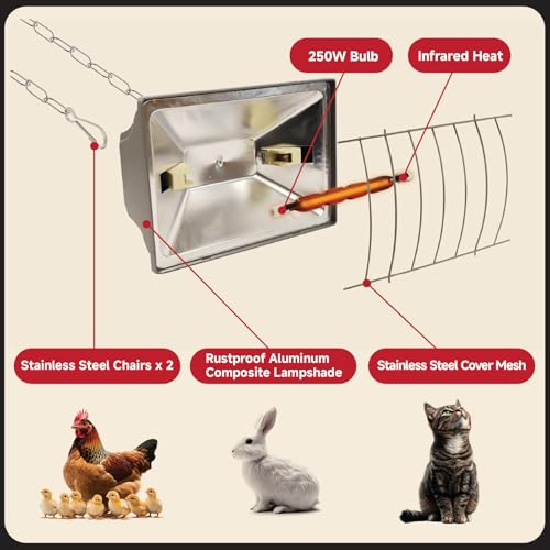 250W Chicken Coop Heater for Winter Chicks Ducks, Chicken Brooder Heater Lamp w/ 2 Heating Mode & Adjustable Hanging Height for Livestock Pet Inside Outdoor Lamp (250W-Black)