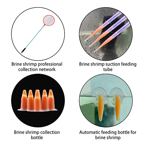 Brine Shrimp Hatchery Kits brines Shrimps Eggs Incubator Hatchery brine Shrimp Eggs Incubator Artemia Hatcherying with Silver air Pump
