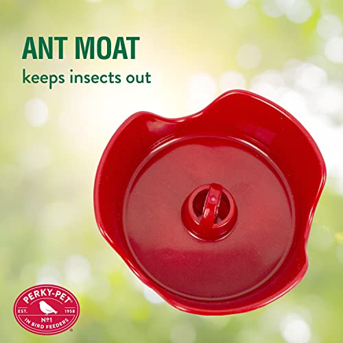 Perky-Pet 203CPBR Pinch-Waist Red Glass Hummingbird Feeder with Perches, Built-in Ant Moat and Bee Guards - Outdoor Garden Decor, Unique Gifts