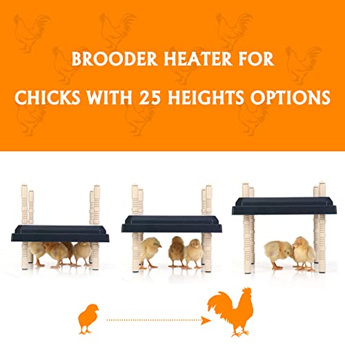 Brooder Heater for Chicks: Chick Brooder Heating Plate with Easy- Cleaning Plate Poultry Coop Heater Chicks Warmer 12" x 12" for 20 Chicks Adjustable Height Brooding Heater 22 Watts - color: Black-12x12
