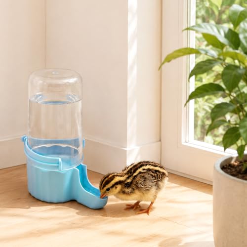 Quail Chick Waterer, Large Capacity Quail Water Feeder for Chick, Duckling, Parrot, Hamster, Hanging or Free-Standing
