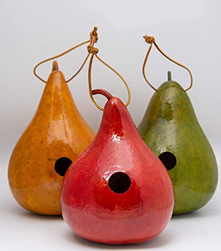 Natural Gourd Birdhouses Set of 3 – Hanging Bird Houses for Wrens & Small Birds, 1.5 Inch Entrance, Outdoor Nesting Gourds, Weather-Sealed