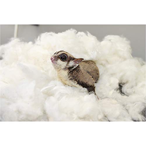Exotic Nutrition All-Natural Nesting Material (1.5 oz.) - 100% Cotton Eco-Friendly Animal Bedding - for Sugar Gliders, Squirrels, Hamsters, Rabbits, Wild Birds & Wildlife - size: 1.5 oz.