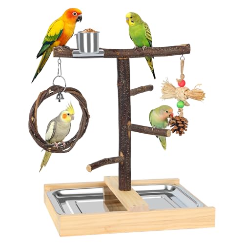 Bird Playground,Natural Wooden Parrot Play Stand with Swing,Chew Toys,Feeding Cups,Bird Perch Suitable for Small and Medium Birds Like Parakeets, Budgerigars,Cockatiels