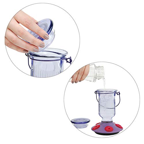 Perky-Pet 9101-2 Lavender Field Top-Fill Glass Hummingbird Feeder Purple 16 oz Capacity - color: Purple