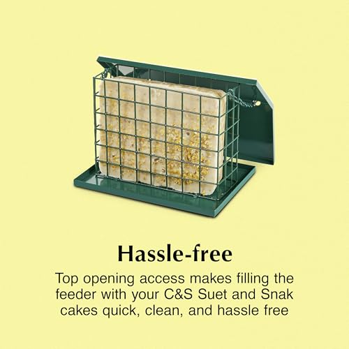 C&S EZ Fill Deluxe Suet and Snak Feeder with Roof & Platform, Suet Feeder for Wild Birds, Holds one 56 Ounce Suet Cake - style: Deluxe Feeder 1-Pack