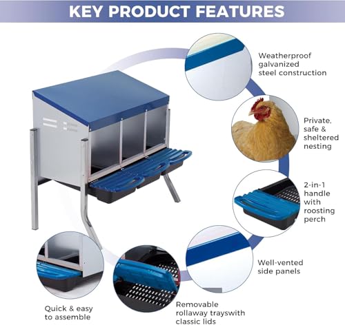 Chicken Nesting Box with Cleanable Pull Out Trays, 3 Hole Roll Away Nesting Box for Laying Hens, Wall Mount or Placed Design for Easy Egg Collection ﻿ - color: Blue, size: 3 Holes with legs