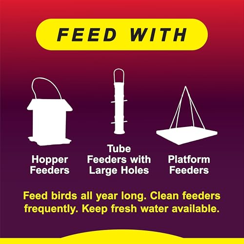 Wild Delight Advanced Formula Squirrel Away Zero Waste Wild Bird Food 5 lb | No fillers, premium ingredients, real chili peppers, zero-waste formula, wild bird feed for songbirds, deters squirrels - size: 5 Pound (Pack of 1), style: Squirrel Away 5lb