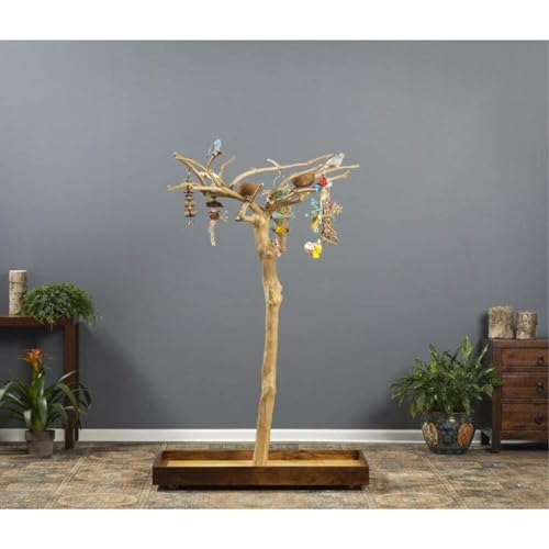 HomeStock Asian Fusion CoffeeWood Tree-Style Parrot Play Stand with Natural Design, Durable Perches, Feeding Bowls, and Spacious Activity Area for Birds Small - size: Small