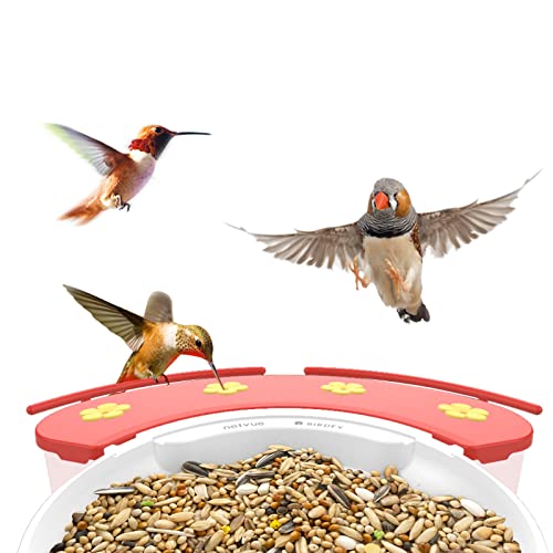 NETVUE Hummingbird Feeder Perch, Compatible with Birdfy, Attract Hummingbirds, 18.3 oz Capacity, 2 in 1 Bird Feeder, Ideal Gift for Hummingbird Lovers