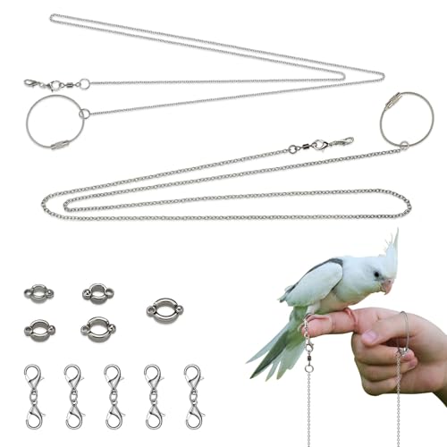 LELE LIFE 2 Pack 39in Bird Leash with 5 Sizes Ankle Rings, Stainless Steel Anti-Bite Parrot Bird Harness Flying Toy Training Chain Leg Rope Outdoor Parrot Alloy Foot Ring