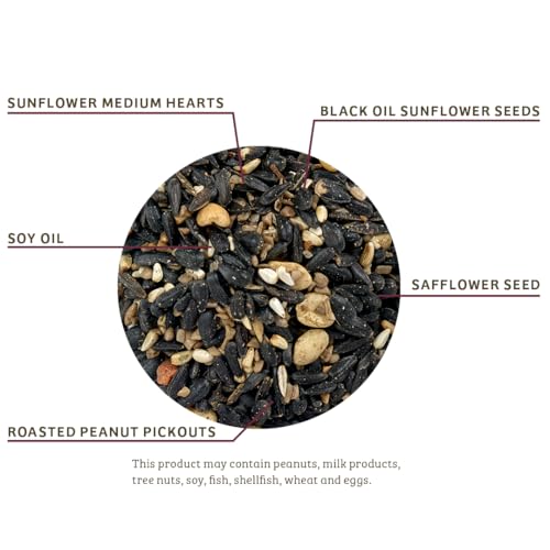 Birds Choice Cardinals Crave Bird Seed Wild Bird Food | Nutrient-Rich Bird Seed Blend | High-Energy with Safflower, Black Oil Sunflower Seeds & Peanuts | High Protein & Fat for Cardinals | 5 lbs | High-Energy Blend of Safflower, Black Oil Sunflower Seeds
