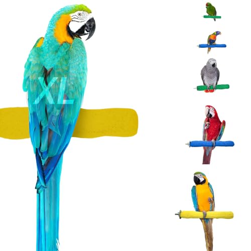 Sweet Feet and Beak Comfort Grip Safety Bird Perch, X-Large Pedicure Perch | Made from Bird-Safe Concrete Blend, Promotes Feet, Nails and Muscle Stimulation, 13.5" Perch, Available in 5 Sizes, Yellow - color: Yellow, size: X-Large 13.5"
