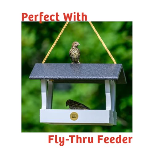 Birds Choice Cardinals Crave Bird Seed Wild Bird Food | Nutrient-Rich Bird Seed Blend | High-Energy with Safflower, Black Oil Sunflower Seeds & Peanuts | High Protein & Fat for Cardinals | 5 lbs | High-Energy Blend of Safflower, Black Oil Sunflower Seeds