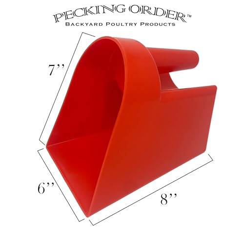 2 Quart Feed Scoop