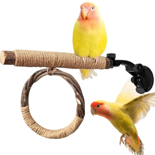 La La Pet Suction Cup Bird Perch Swing and Ring Set Sucker Bird Standing Rack Multifunctional Wooden Parrot Toy for Small and Medium Birds Cockatiel Parakeet Lovebirds Medium
