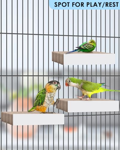 KATUMO Bird Toys, 7.8 Inch Paper Parakeet Shredding Chewing Toys Parrot Perch Platform Conure Foraging Toys for Budgie Cockatiel Lovebird Small Birds - size: Large